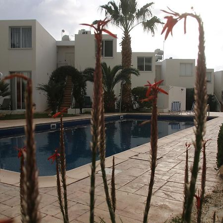 Evros Peyia & Coral Bay Seaview Apartment Extérieur photo