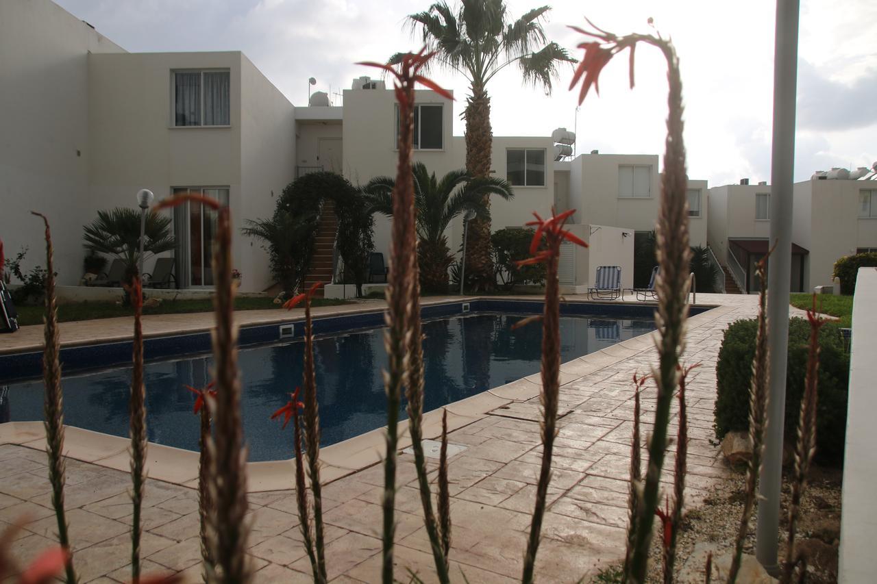 Evros Peyia & Coral Bay Seaview Apartment Extérieur photo